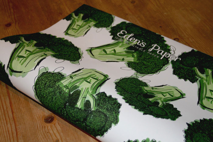 廢紙變植物，超級環(huán)保的創(chuàng)意設計