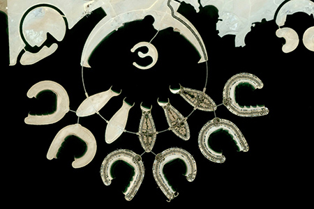 人類的造物傳奇，上帝都為之驚嘆