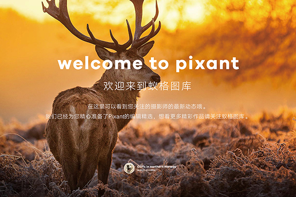 正版圖庫(kù)平臺(tái)網(wǎng)站系統(tǒng)開發(fā)